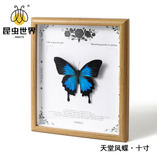 �挍�������˱���Ʒ�[̨�[�����ս���չʾ��ͯŮ�����I���նY��