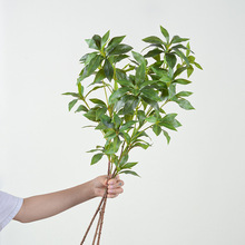 仿真绿植物3D马醉木叶日本吊钟手感家居客厅装饰摄影摆件婚庆假花