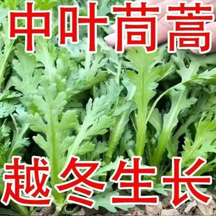 �������L�ʵ����~����N�Ӵ��ղ��ļ��̨ͥԺ�����߲���Z