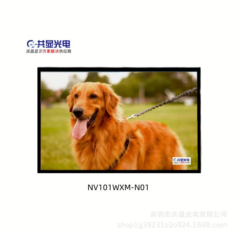 БОЕ 10.1 LCD экран NV101WXM-N01