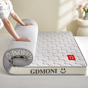 Sponge Double-Sided Mattress Soft Cushion Student Dormitory Single and Double Rental Special Mat Sleeping Mat Three-Dimensional Sponge Soft Mattress