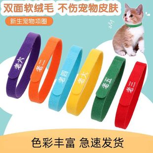 ���������R�eȦС��؈��^�ֱ�e�Ȧ�̹���؈ӛ̖�K���Ә��R��