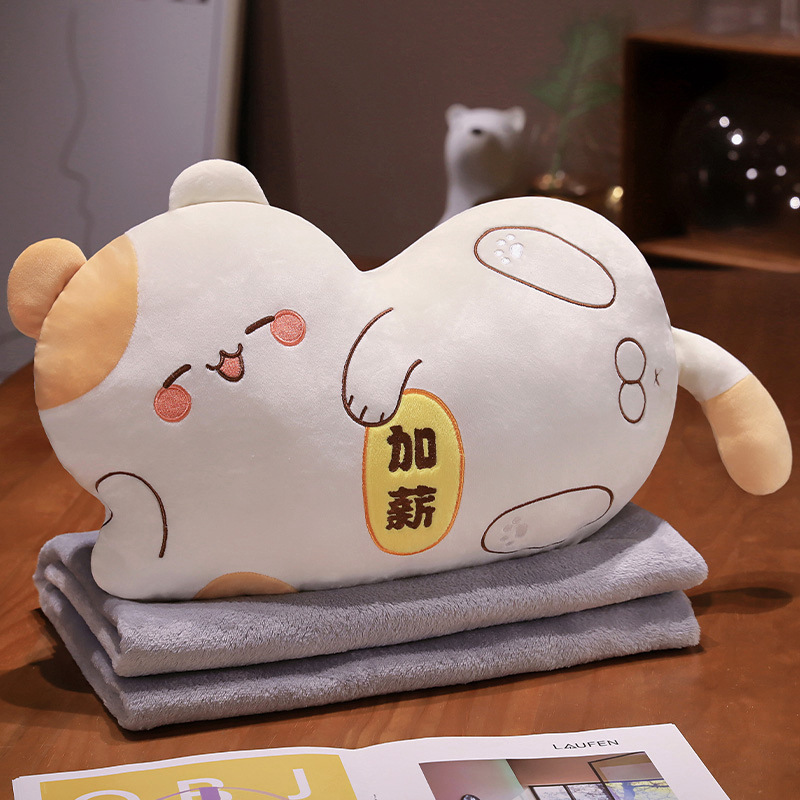 고양이 키우기
