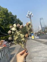 ȻֲɻһRMڸɻ㶹֏͹ˇɻܛbb