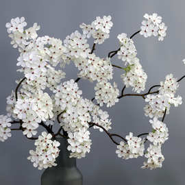 仿真花长枝梨花中式花艺绢布装饰花梨花家居装饰场景布置短剧用花
