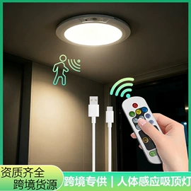 感应灯;吸顶灯;小夜灯