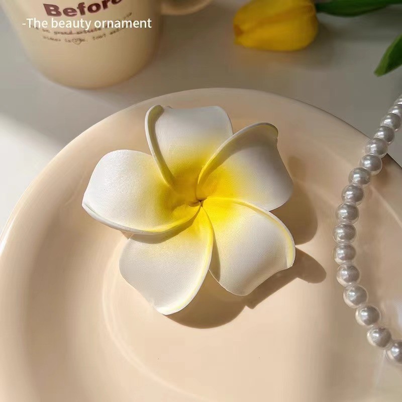 Orquídea de mariposa flores de perlas clip de pelo de vacaciones mar de viento lateral clip de boca de pato super inmortal flores simuladas adornamientos de pelo al por mayor image 10