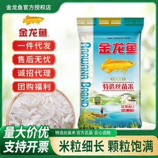 �����~���x�z����5kg�b�����Ϸ��i��؈���׈Fُ���l
