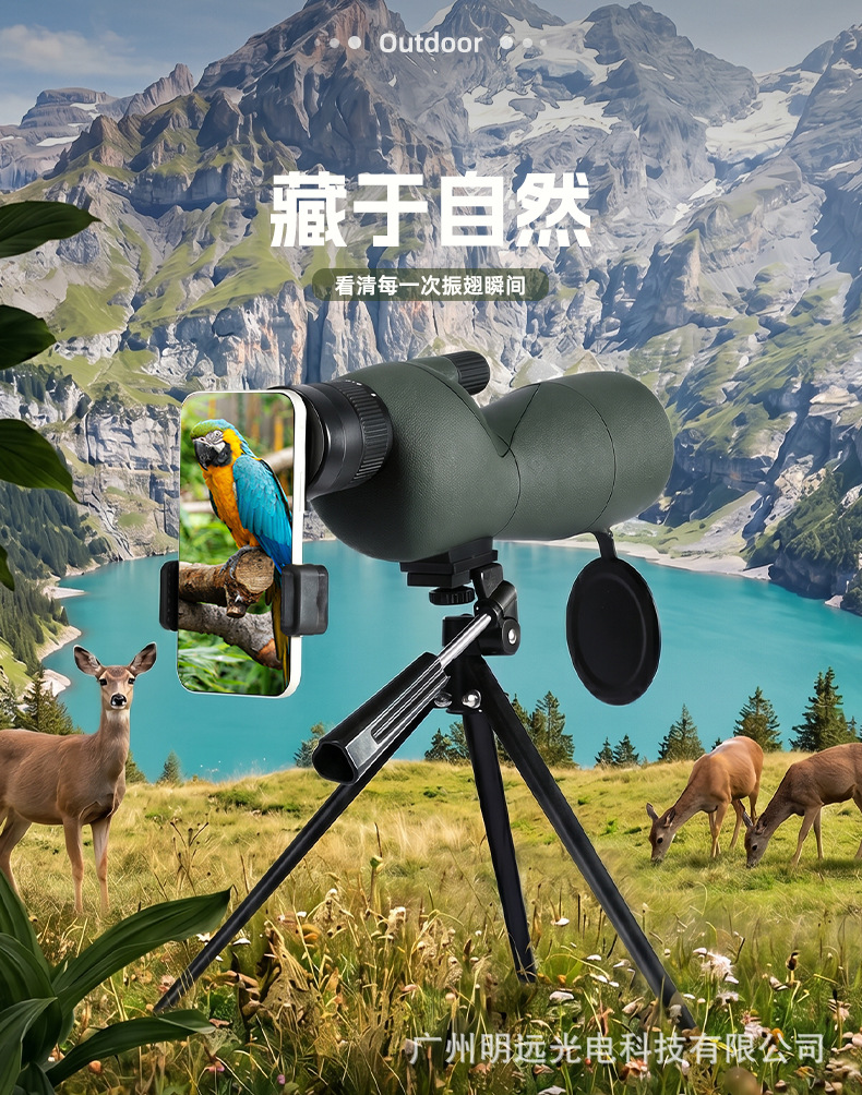 未标题-1_01.jpg