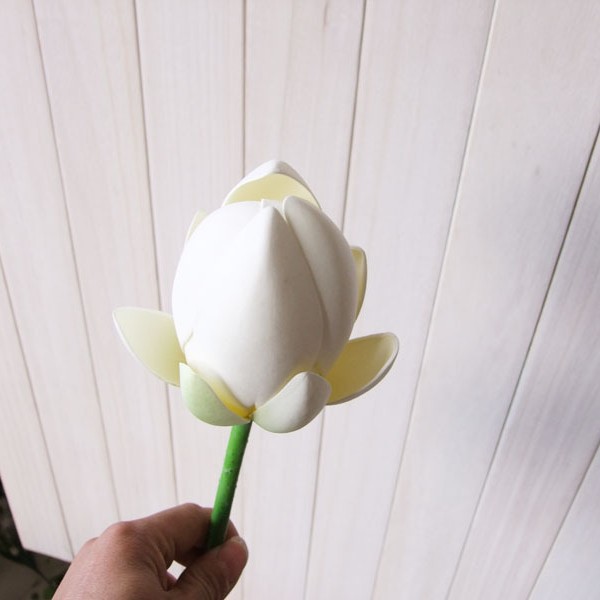 줄기 달린 흰색 꽃봉오리