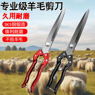 ��ë�����ք�ţë�R����ëƤë�๦�܏��ɼ�����ֱ�^����Ƥ�����