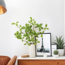 ����Gֲ���� �Ҿ��҃ȿ͏d�Gֲ�b���߶��p���b[�����W