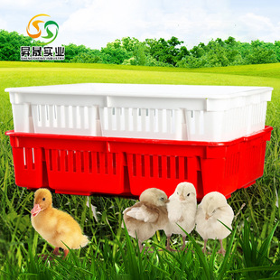 Shengsheng Chicken Basket, Thickeneded Chick Basket, Large Stackable Freezer Basket, Duck Basket, Plastic Transport Basket