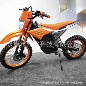 48V2000W Yolsuzluq Elektrikli Motosiklet, İki Təkərli Böyüklər üçün Yüksək Sürətli