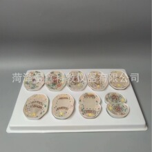 细胞有丝分裂模型9部件核模核仁染色体 生物教学模型 有丝分裂