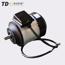 源头工厂 TD YYL7114WY抛光机电机220V 试验仪器电机