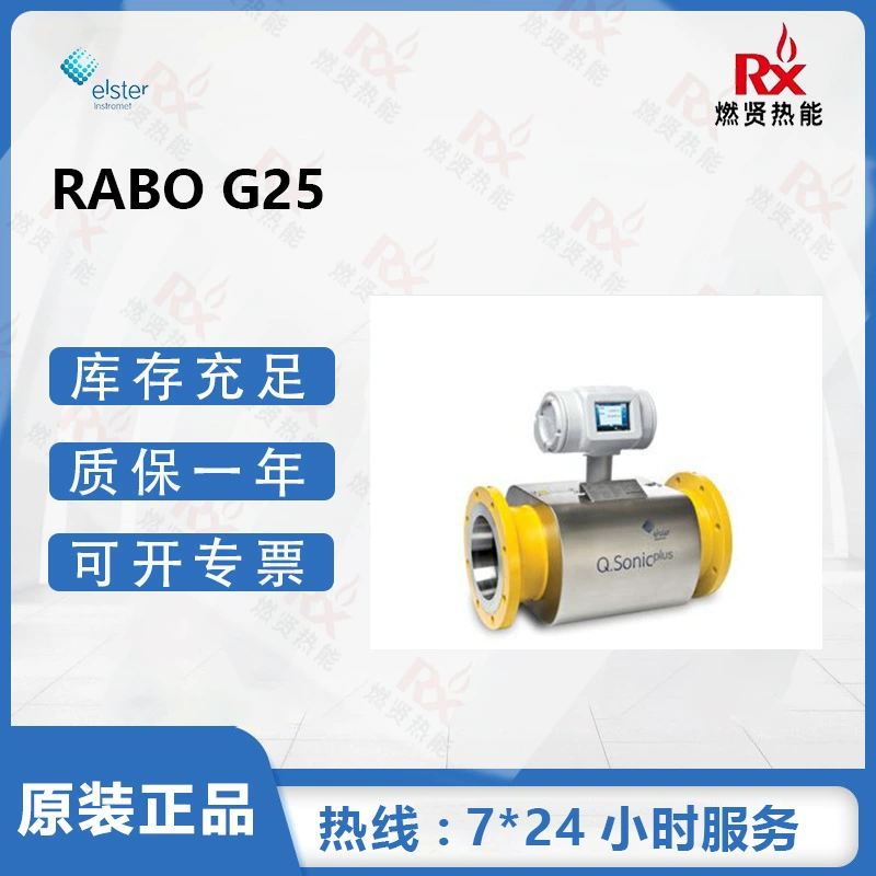 Газовый ротационный расходомер Elster Elster RABO G25 DN50 PN16