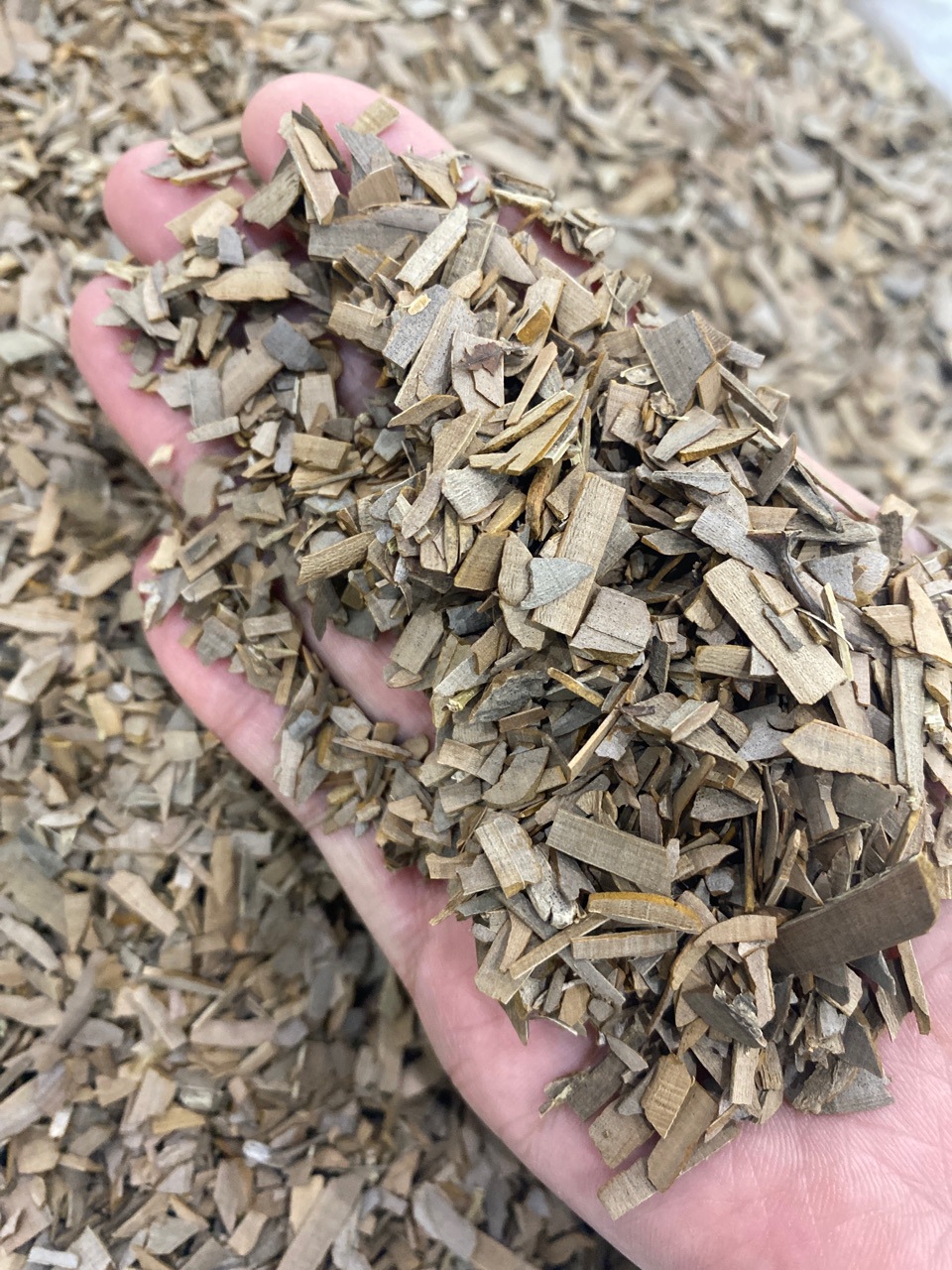 Dried Euonymus Twig Gui Jian Yu 鬼箭羽 500g Traditional TCM Herb from Yunnan key features