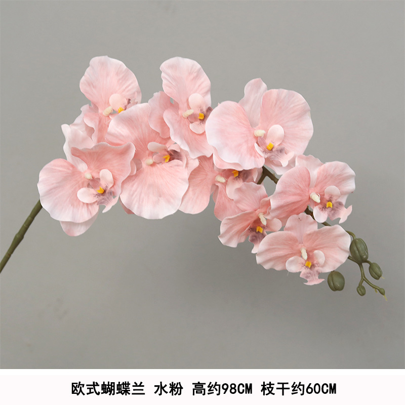 Silk european phalaenopsis gouache