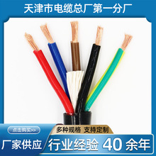 铠装屏蔽控制电缆  RVP铜芯聚氯乙烯绝缘屏蔽电缆