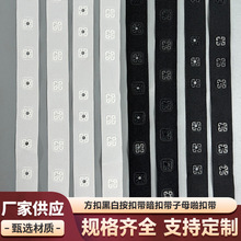 四方扣暗扣带方形纽扣按扣子母带啪扣带婴儿服啪啪扣服装辅料织带