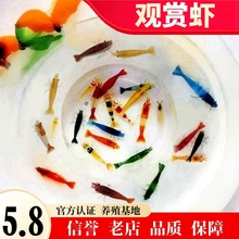 �����^�p�r��ˮ�����r�ѻ��O���r�{��ʯ�r�{ɫ�r�ښ��r�S�����r