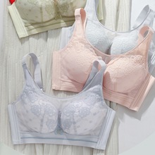 ĨشCD߹ٽzpո{؟oȦ