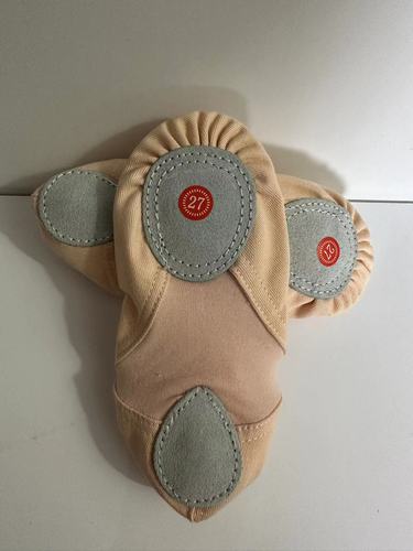 Intermediate elastic soft-soled dance shoes designated for professional dance academies, ballet performance, training, and examination.