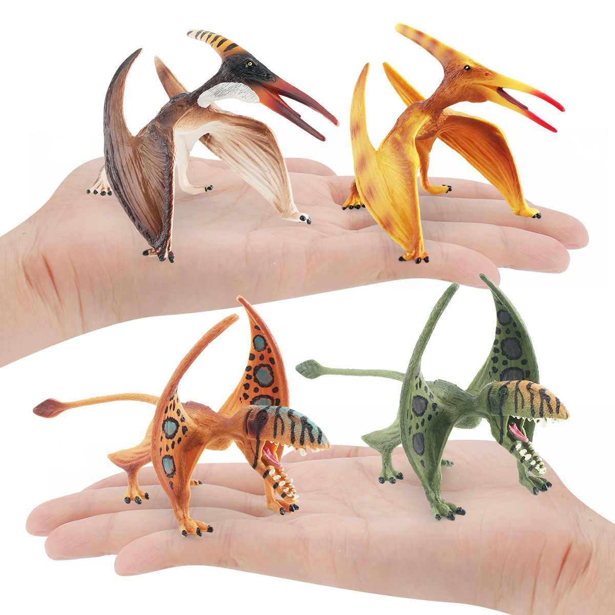 Modelo de dinosaurio Jurásico de simulación transfronteriza juguete de decoración estática de escritorio pterosaurus sin dientes cognitivo infantil