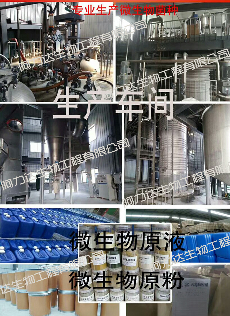 菌剂生产图片