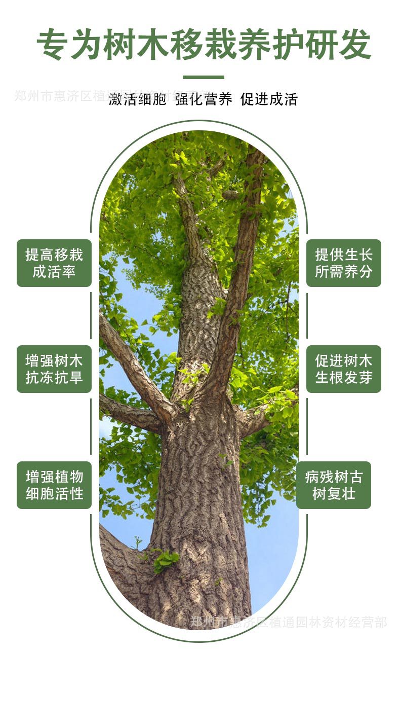 D-_9月份_9月17日树挪活树干吊针液_详情_08