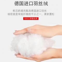 五星級酒店同款枕頭芯久壓不塌可水洗枕芯一對抗菌抗蟎枕頭芯批發