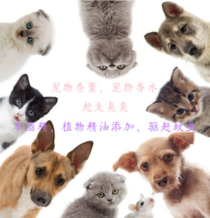 ������ˮ��������޹