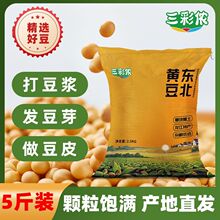 25年新黄豆5斤装黑龙江豆腐大豆专用豆浆豆芽农家非工厂一件批发