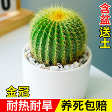 ������������ֲ��M�Ϻ������b�҃��k�����׃��@���B����С����