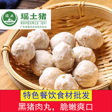 瑶土黑猪鲜肉丸商用批发特色餐饮早餐店汤粉汤面火锅食材烧烤串串