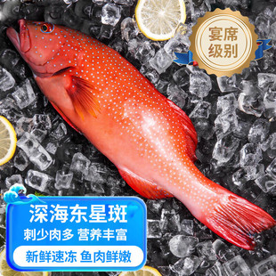 �L�r����β�|�ǰ��~��r�Y�����r�~� �|�ǰ� �|�ǰߡ�500-600g