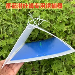 [Strict Selection] Tomato Tomato Leaf-miner Trap