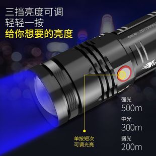 Night Fishing Lamp, Fishing Lamp, Purple Light, Ultra-Bright Xenon High-Power Fish Lamp, Blue Light Flashlight, Strong Light, Night Light, Wild Fishing