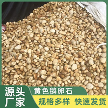 佛山批发鹅卵石天然黄色鹅卵石园林装饰鹅卵石园林庭院铺路河卵石