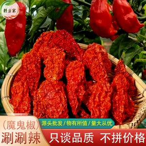[魔鬼辣云南涮涮辣500g变态辣巨辣提辣增辣魔鬼椒象鼻辣德宏涮涮辣]