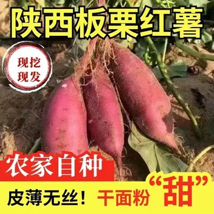 ������r�F���u����������Ŵ��������S���ۼtެ���ع��r�aƷ���l