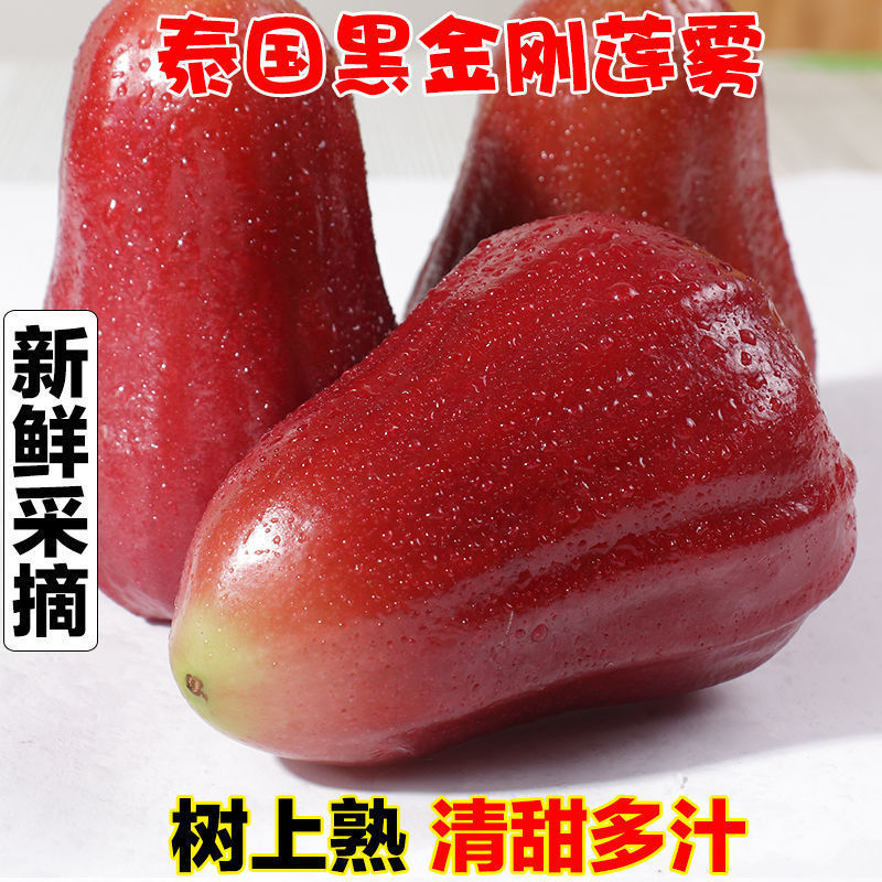 Wax apple Hainan Season Black Edition Tropical fresh fruit pregnant woman fruit Sanya specialty wholesale