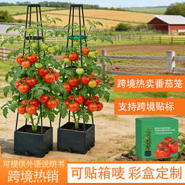 外贸种植箱亚马逊阳台种菜箱塑料花盆楼顶种菜盆跨境工厂直销批发