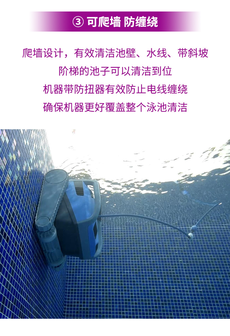 海豚综合详情_06.jpg