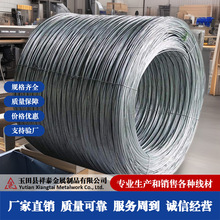 铁丝钢丝铁线捆绑丝扎丝8#10#12#14#16Q195材质用建筑镀锌包塑
