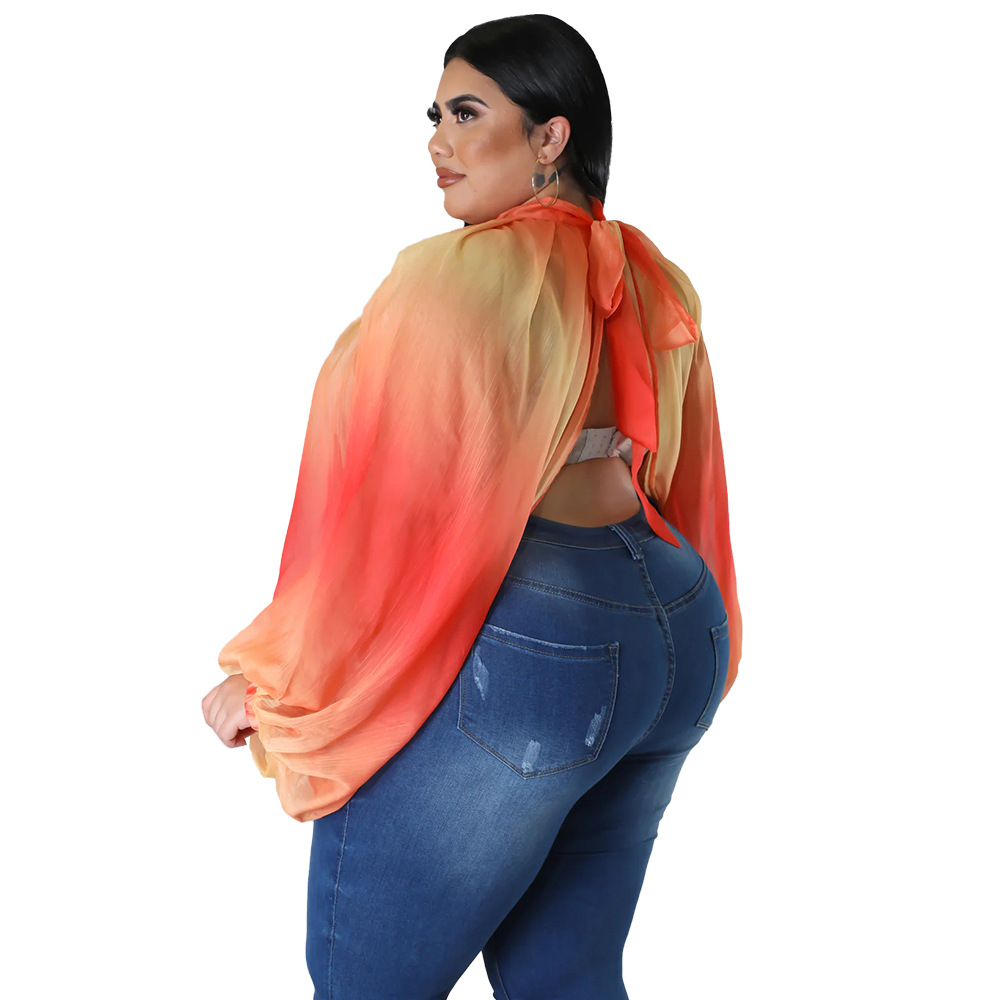 252g Weight Long Sleeve Sleeve Length Regular Sleeve Sleeve Type Spandex, Polyester, Chiffon Fabric Type Long Top Length Blouse Tops Type Daily, Street Occasion Round Neck Neckline Regular Fit Fit Type Color Block Pattern Spring&Summer Season Streetwear Style Blouse Long Sleeve Plus Size Tops Streetwear Color Block 44
