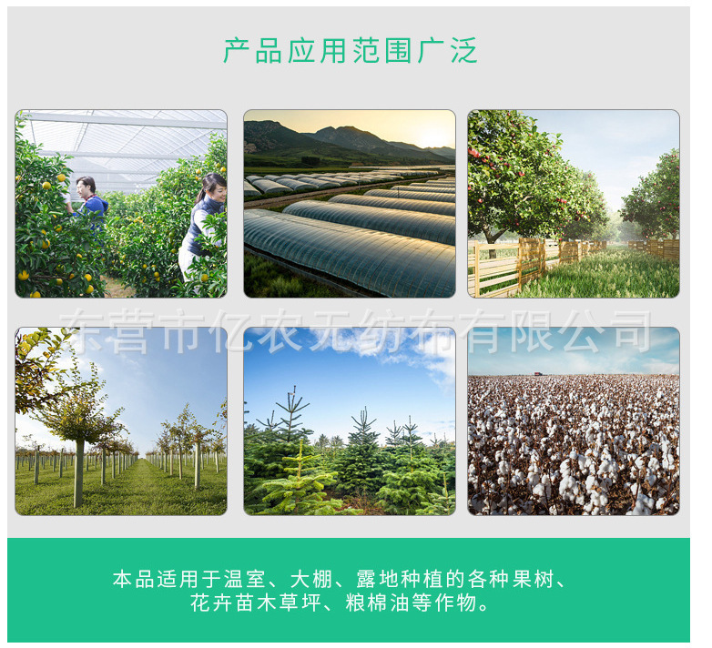 O1CN01RJmJAg1bWgVfIP0lD_!!2924243473-0-cib.jpg?__r__=1721385571457