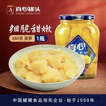 真心黄桃罐头水果罐头880g橘子梨子什锦草莓山楂荔枝杨梅李子罐头