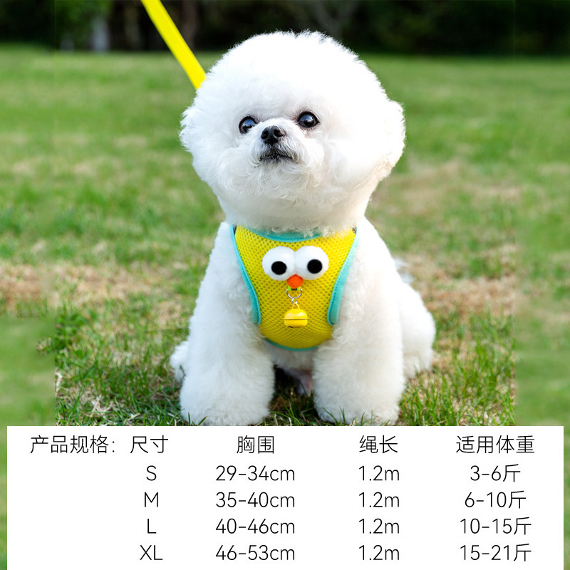 Campana amarilla de ojos grandes